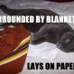 Typical Cats…