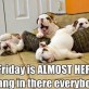 Friday Is Almost Here!