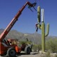 How to hide a cell phone tower in Arizona