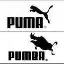 The New Subsidiary of Puma