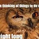 Seductive Owl