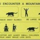 What to do when you encounter a mountain lion