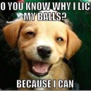 Do you know why I lick my balls?