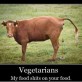 For all those vegetarians
