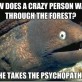 How does a crazy guy walk through forest?