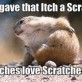 Scratch The Itch