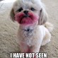 Have You Seen My Lipstick?
