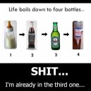 The Four Bottles of Life