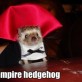 Vampire Hedgehog