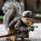 Captain Jack Squirrel