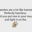 Cigarettes are bad!