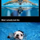Every Time I Swim…