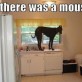 There was a mouse…