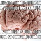 My Brain…