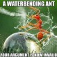 A Waterbending Ant
