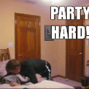 GIF – Party Hard!