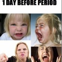 Women  Moods before, through and After their Period