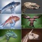 Awesome hand art of animals