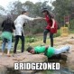 Bridgezoned