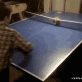 GIF – Table Tennis Expert