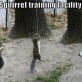 Secret Squirrel Facility
