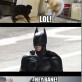 Where Batman learned his fighting moves from
