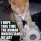 Artistic Cat