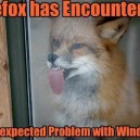 Firefox has encountered an error