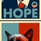 Grumpy cat vs. Obama