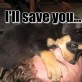 I Will Save You!