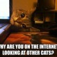 Overly Attached Kitty