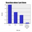 Reaction When I Pet Them
