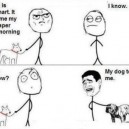 Smart dogs