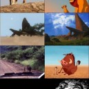 The Lion king is Real!