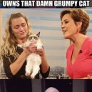 Who Owns Grumpy Cat?