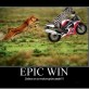 Zebra on a Motorcycle: Epic Win!
