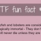Fun Fact #113