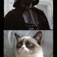Grumpy Cat vs. The Dark Side