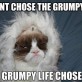Grumpy life