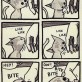 How cats think
