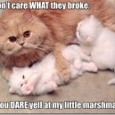 Little Marshmallows