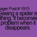 Seeing a Spider