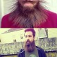 Awesome beard