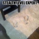 Camouflage Expert