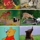 Classic Disney movies turned into reality