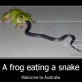 Funny Pictures – Welcome to Australia