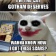 Gotham Kittens