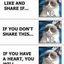 Grumpy Cat vs. Facebook