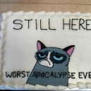 Grumpy cat cake