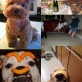 Most Weird Animal Pictures of 2012